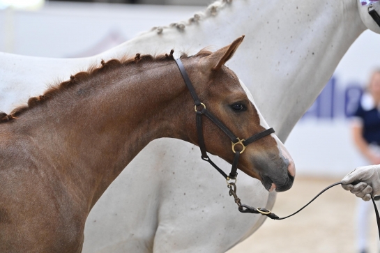 LA GÉNOMIQUE, FUTUR PROCHE OU LOINTAIN ?