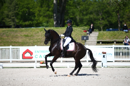 LES ACTUALITES DE DRESSAGE