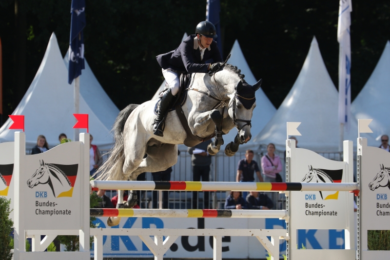 LES ACTUALITES DE CHACOON BLUE