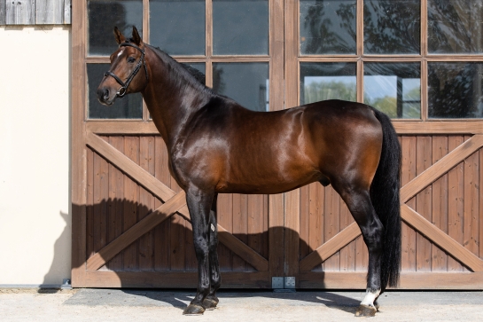 LES ACTUALITES DE JILBERT VAN'T RUYTERSHOF