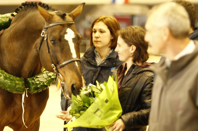LES ACTUALITES D'ORLANDO