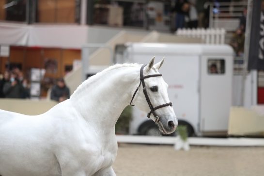 LES ACTUALITES D'UNTOUCHABLE