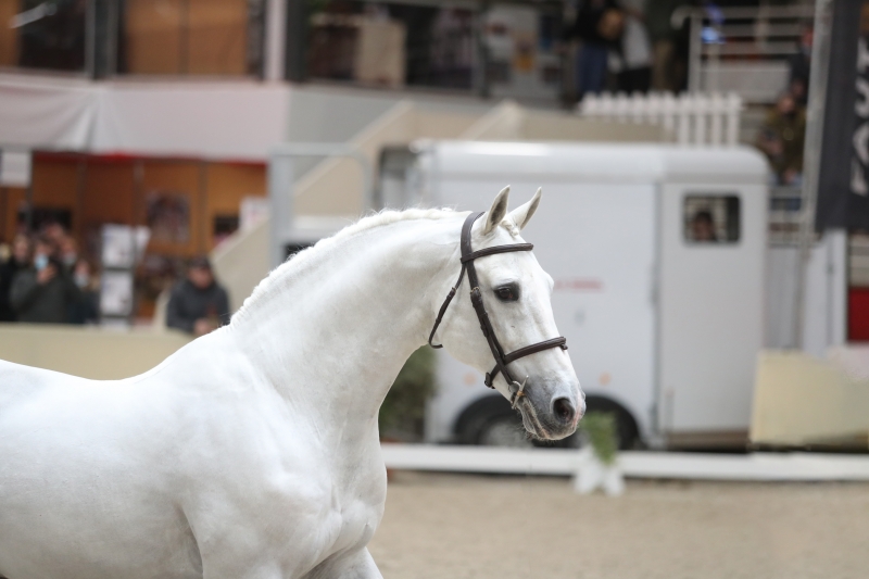 LES ACTUALITES D'UNTOUCHABLE