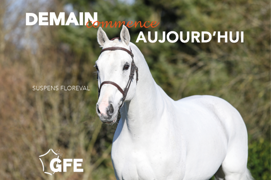 DEMAIN COMMENCE AUJOURD'HUI