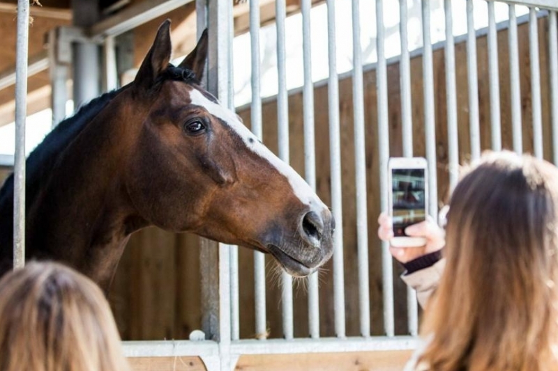 REVUE D EFFECTIF DES PREMIERS CIR : 3 ETALONS SE DISTINGUENT PARTICULIEREMENT