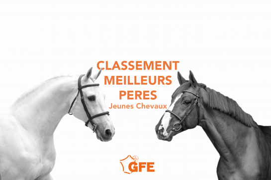 POINT SHF AVANT LA GRANDE SEMAINE DE FONTAINEBLEAU