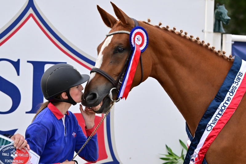 LA PRIME AU NAISSEUR DU GFE : CHAMPIONNATS FOALS, 2, 3 ANS