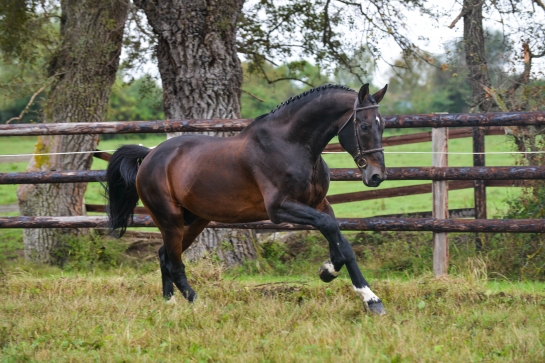 LES ACTUS DU 7 AU 10 DECEMBRE