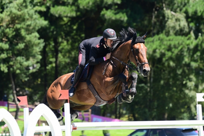LES ACTUS DU 12 AU 17 DECEMBRE
