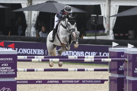 EXCALIBUR ET KABRI ARRIVENT AU HARAS