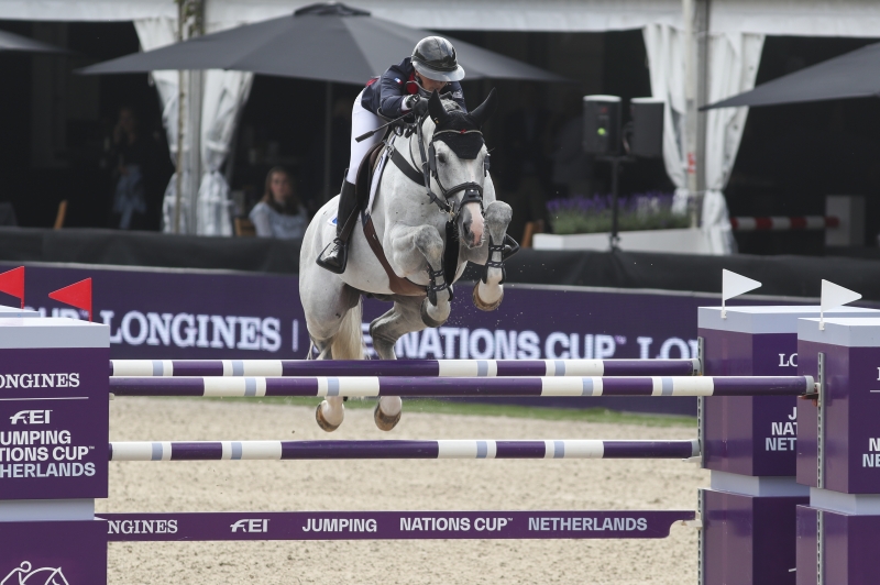 EXCALIBUR ET KABRI ARRIVENT AU HARAS