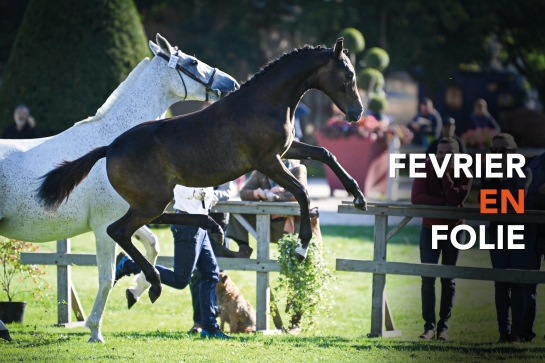 C'EST PARTI POUR FEVRIER EN FOLIE