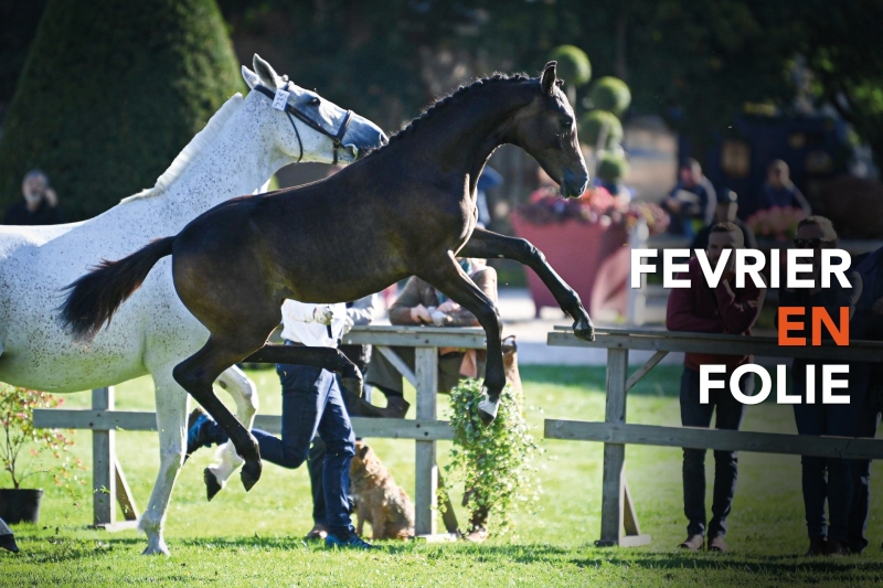 C'EST PARTI POUR FEVRIER EN FOLIE
