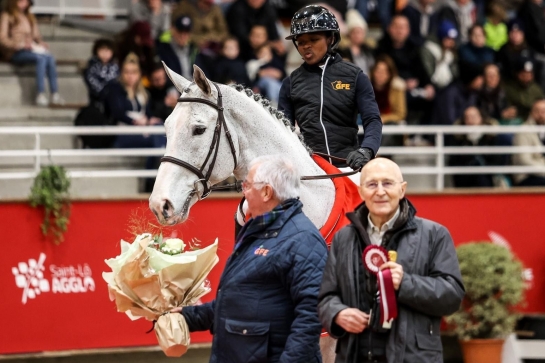 Stallion Show 2024 in Saint Lo : a successful edition