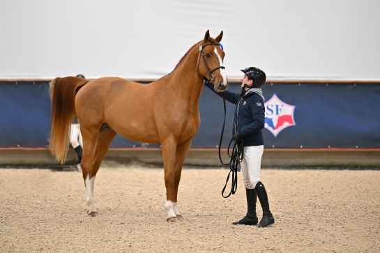 JET DES FORETS, le Champion de France