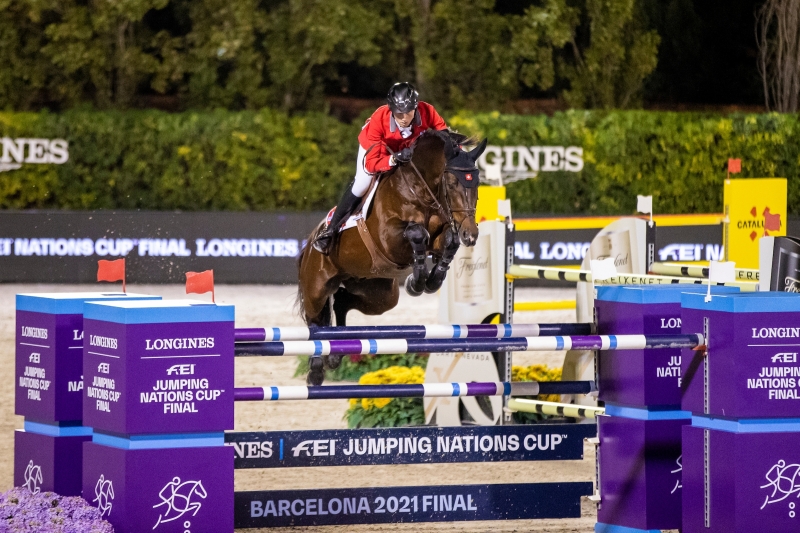 CHAPLIN, l’étalon crack de Martin Fuchs arrive en France