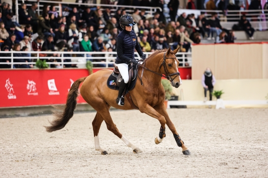 JAGGER DE MARIGNY*GFE, l’élève modèle sous la selle...