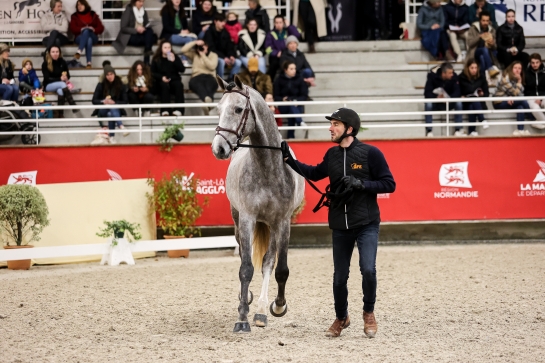 KABRI DU MARAIS*GFE, une souche confirmée par des...