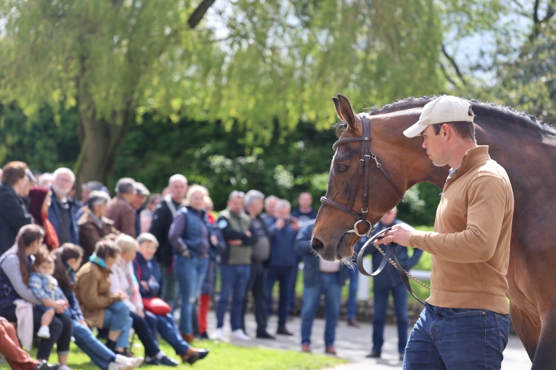 BONNE HUMEUR ET CONVIVIALITE AU HARAS DE COQUERIE