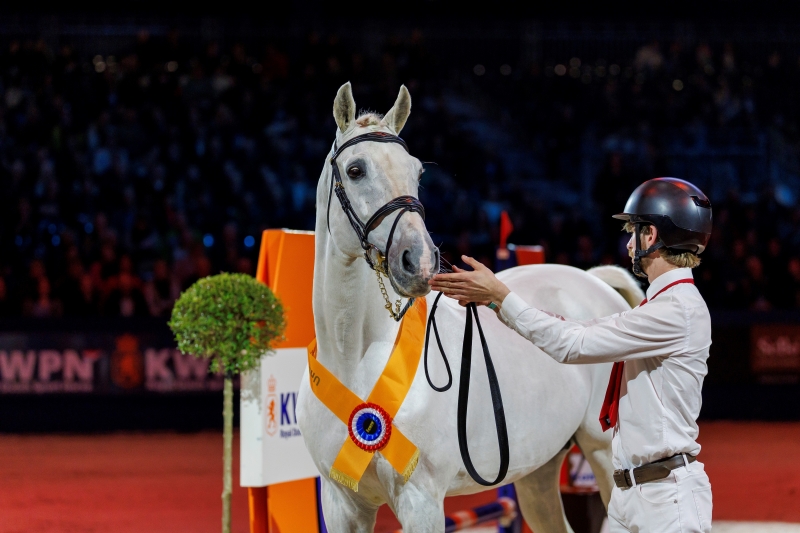 UNTOUCHABLE and CANDY DE NANTUEL are ranked among the best sires of young horses