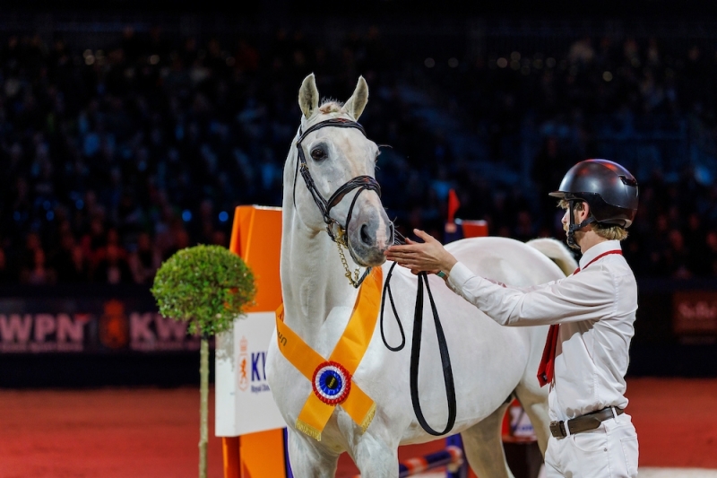 RETOUR SUR LES DEMI FINALES AVANT FONTAINEBLEAU