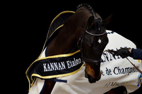 KANNAN : THE MOST REPRESENTED SIRE OF THE 2024 PARIS...