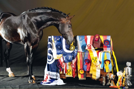 Eventing Olympic Games 2024: Gold for the son of CONTENDRO