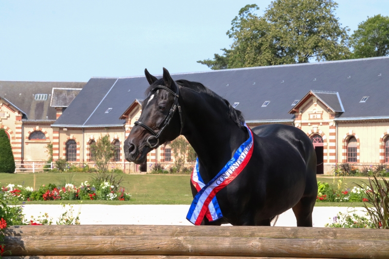 LE GFE DANS LES JEUX