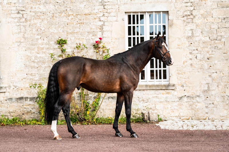 BLACK JACK, GEMINI et POINT BREAK : APPROUVES SF