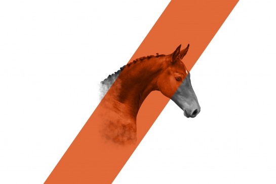 PRIME AU NAISSEUR 2024 : BRAVO AUX NOUVEAUX BENEFICIAIRES