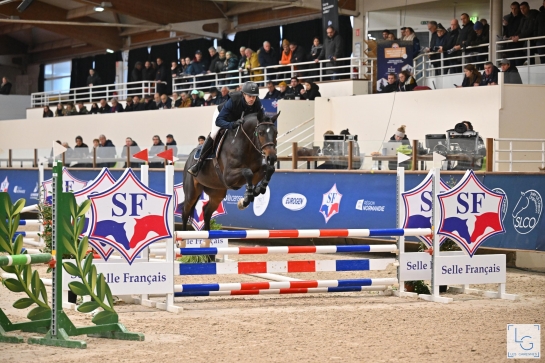 CHAMPIONNAT DES ETALONS DE 2 ET 3 ANS