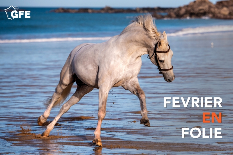 FEVRIER EN FOLIE : BRAVO AUX GAGNANTS !