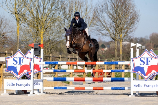 DEBUT DE SAISON REUSSI POUR LES ETALONS DE LA TEAM GFE