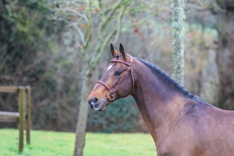 DEBUT DE LA SAISON EN IAF