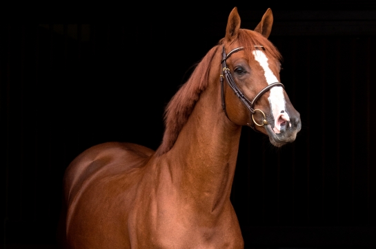 CANDY DE NANTUEL : À LA TABLE DES GRANDS ?