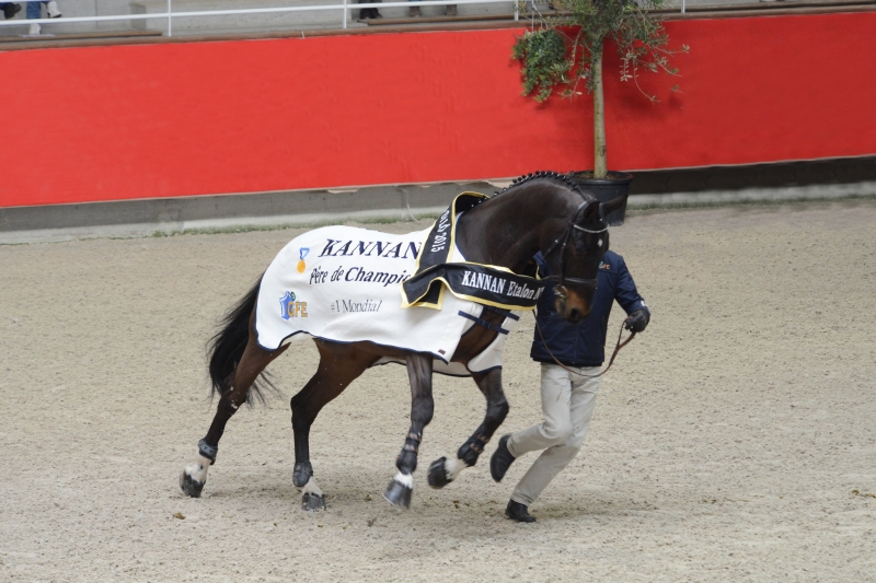 KANNAN & DIARADO N°1 MONDIAUX