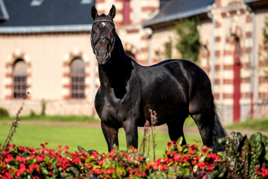 CONTENDRO S'EST ETEINT