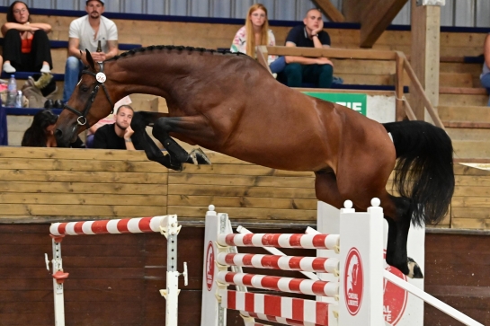 BIENVENUE A RATIO ES