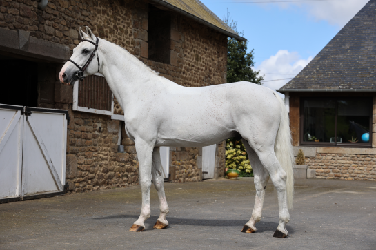 SCUDERIA 1918 CASAGO arrive en France !