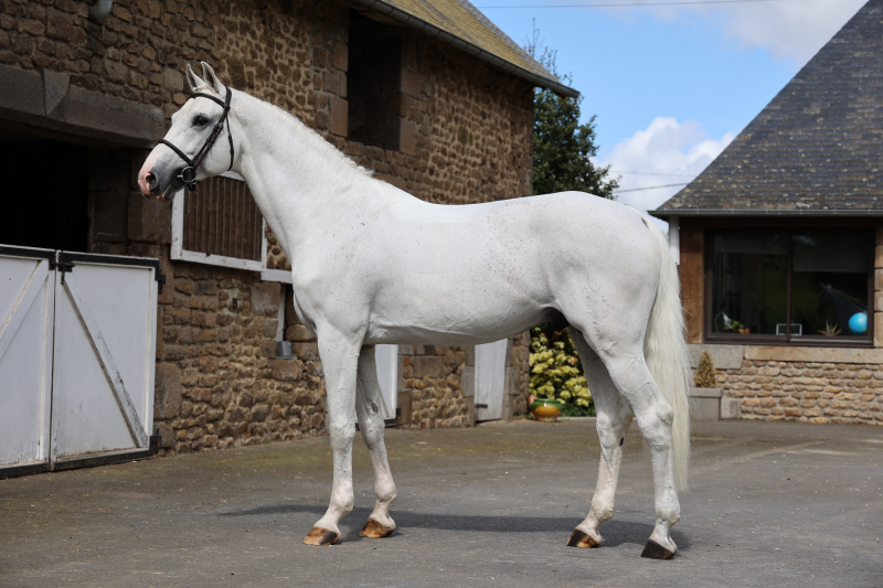 SCUDERIA 1918 CASAGO arrive en France !