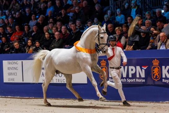 UNTOUCHABLE ET CARAMBOLE À L'HONNEUR AU KWPN