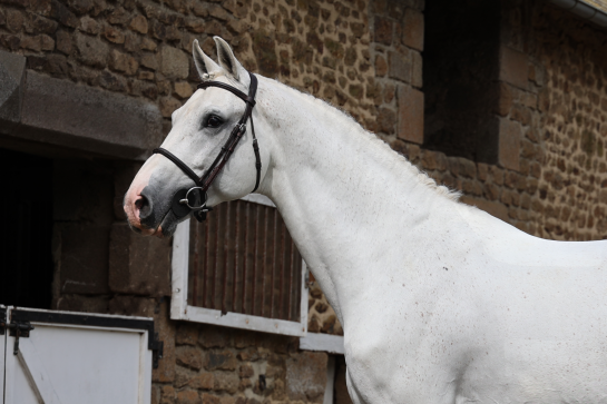 CASAGO SUR LES TRACES DE SON PÈRE