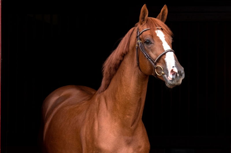 CANDY DE NANTUEL AT THE BIG BOYS’ TABLE?