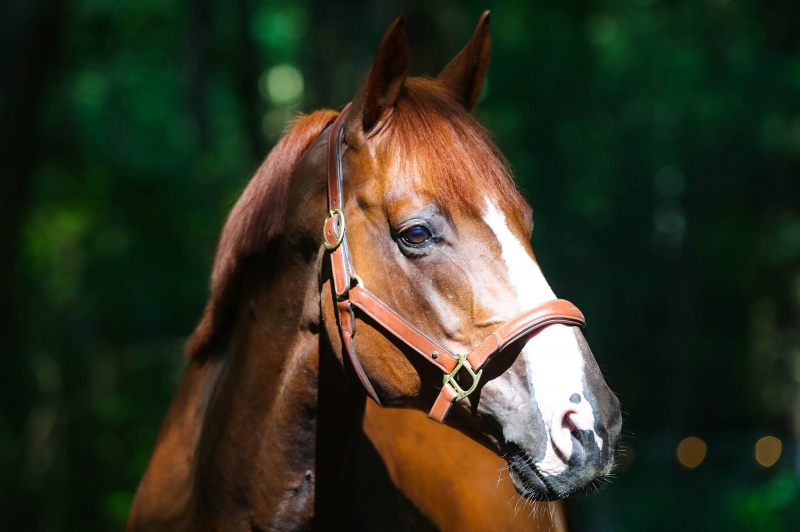 There is Something Special about Candy de Nantuel