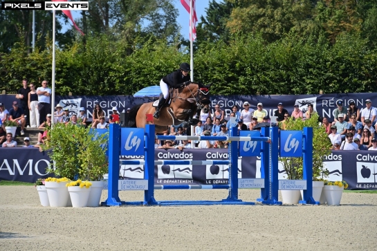 LES ACTUS DU 11 AU 18 AOUT