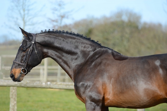 KANNAN en vedette à Barcelone