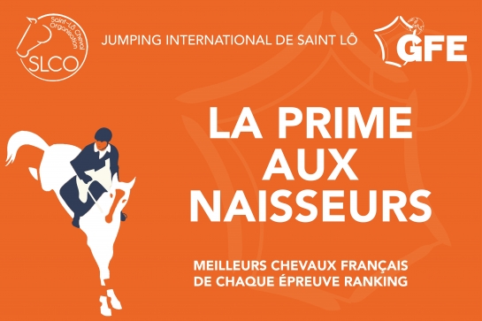 PAN ET POULAINS DU COEUR AU CSI DE SAINT LO