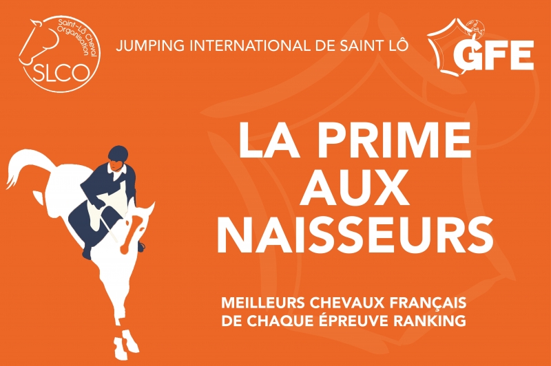 PAN ET POULAINS DU COEUR AU CSI DE SAINT LO