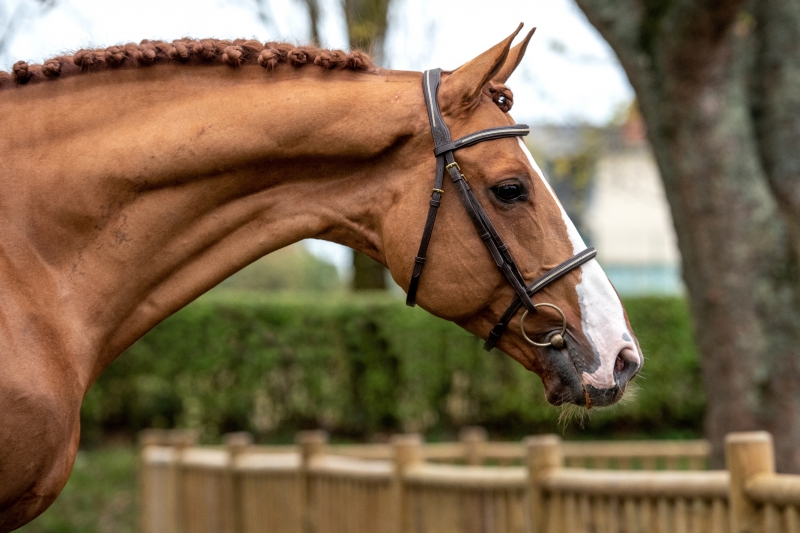 Fontainebleau au pays de Candy