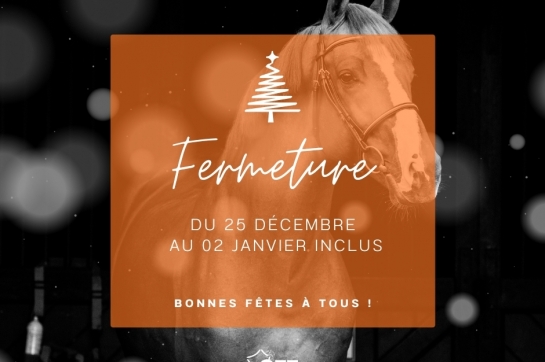 LE GFE VOUS SOUHAITE DE BELLES FÊTES DE FIN D'ANNÉE